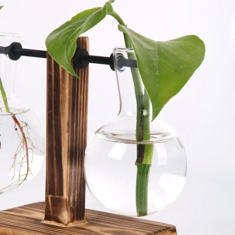 Nordic Vintage Wooden Stand Glass Vase - Hydroponic Plant Terrarium