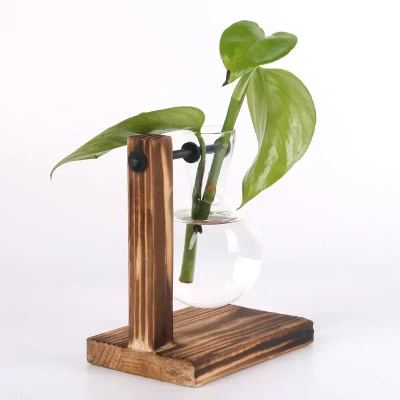 Nordic Vintage Wooden Stand Glass Vase - Hydroponic Plant Terrarium