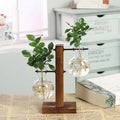 Nordic Vintage Wooden Stand Glass Vase - Hydroponic Plant Terrarium